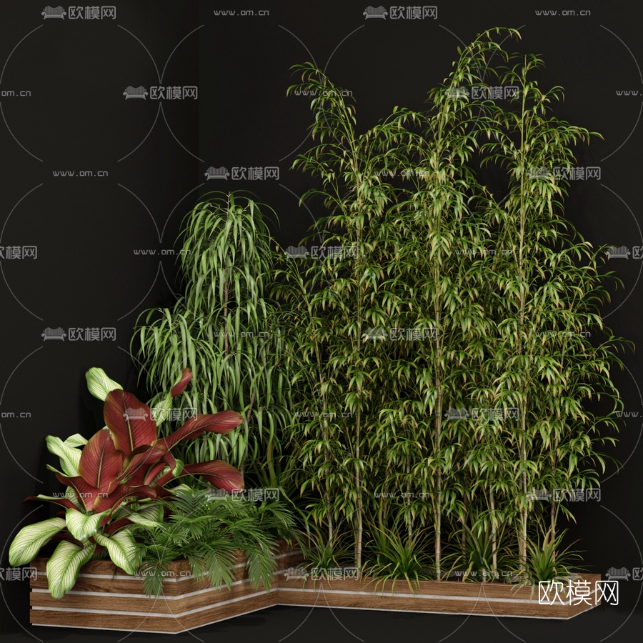 现代竹子植物3d模型