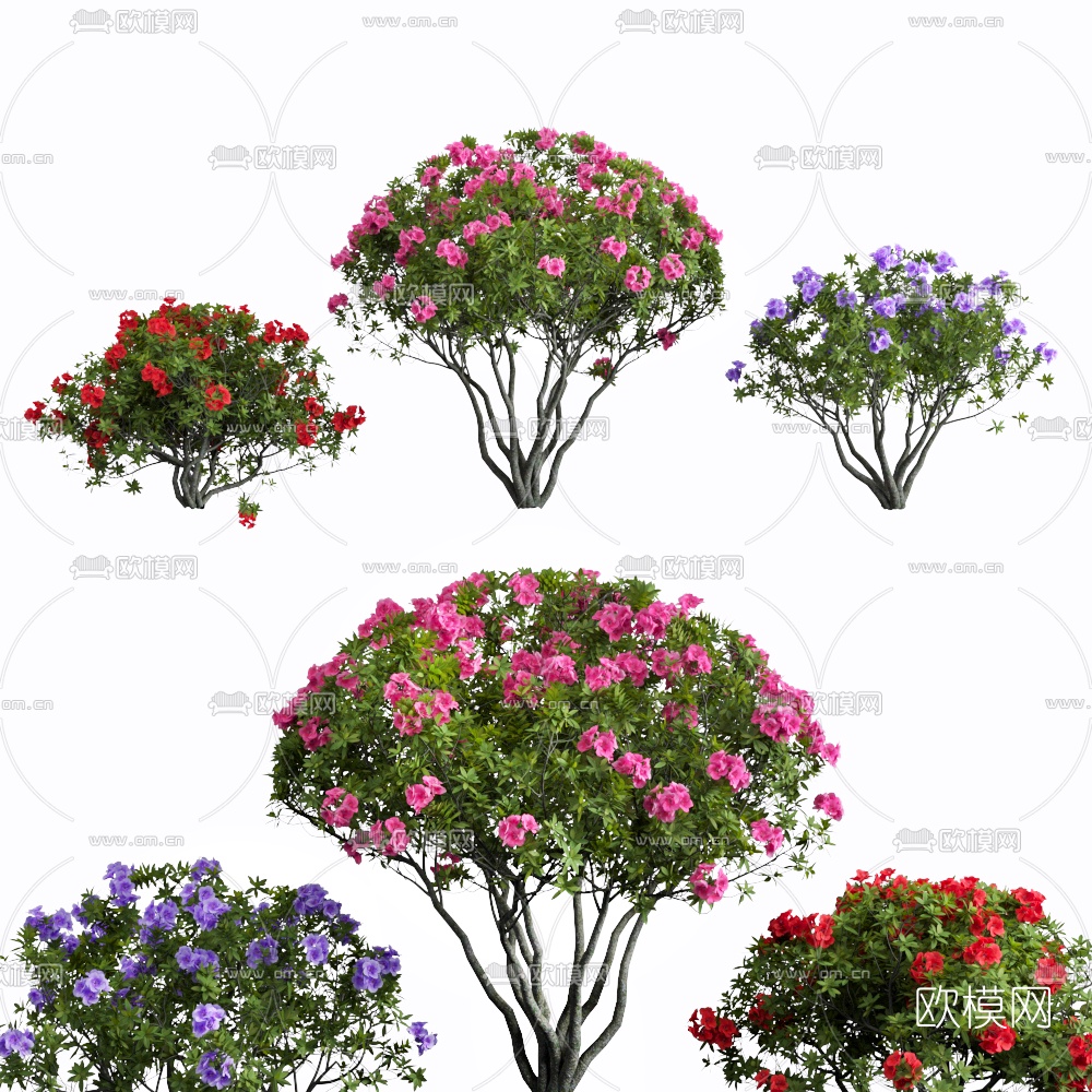 现代植物花丛3d模型