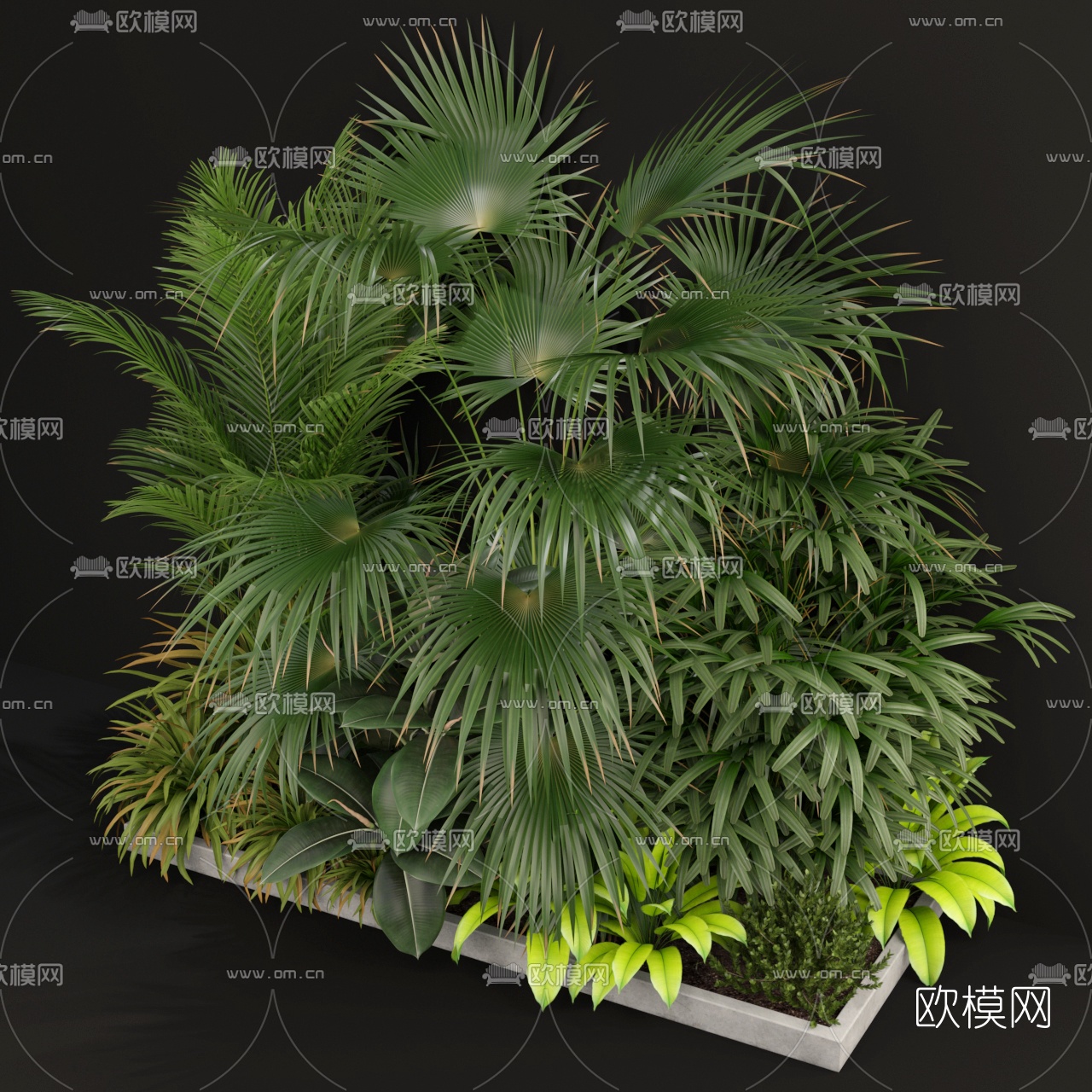 现代绿植盆栽3d模型