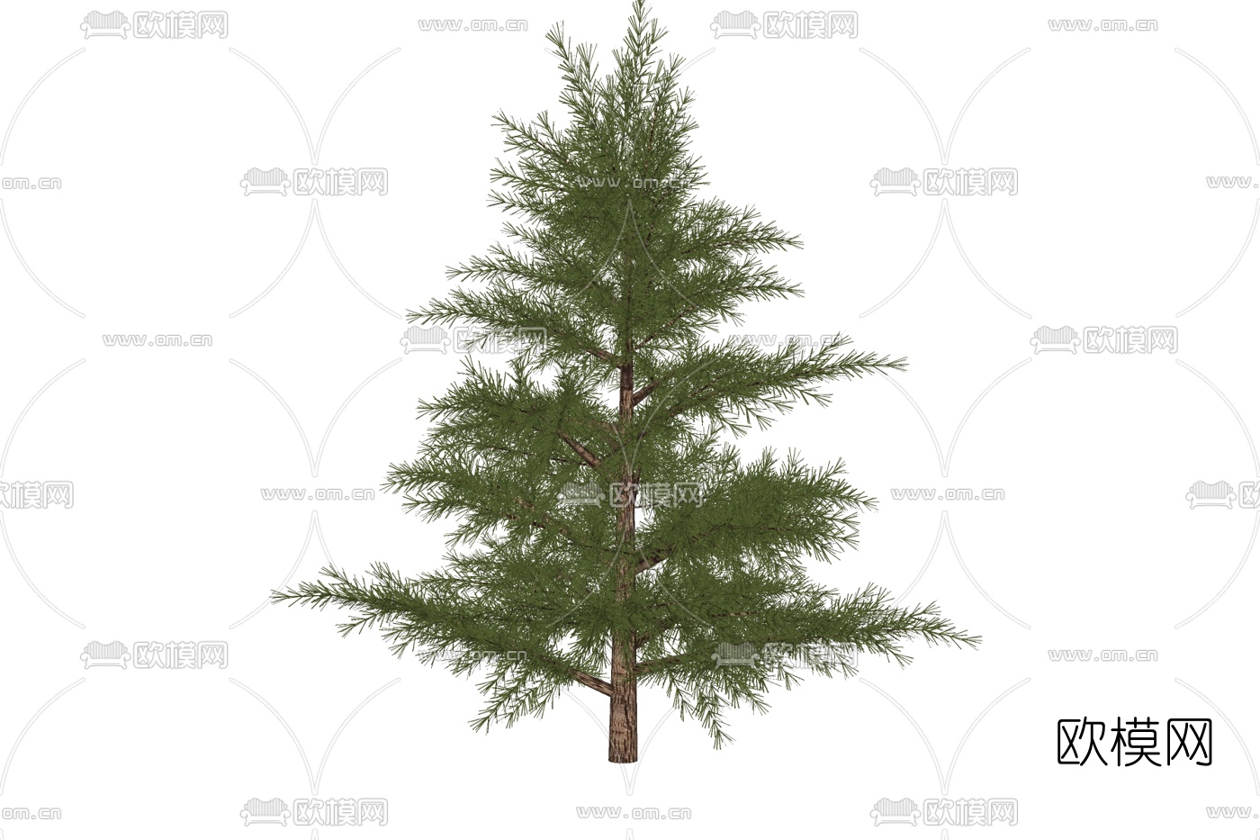 现代长白松免费su模型下载