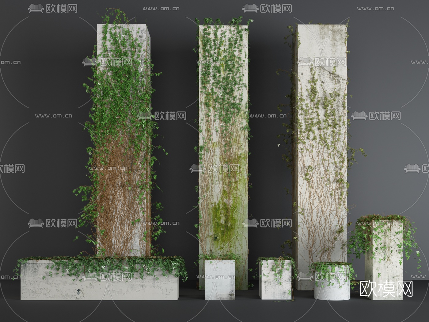 现代绿植藤蔓爬山虎3d模型下载