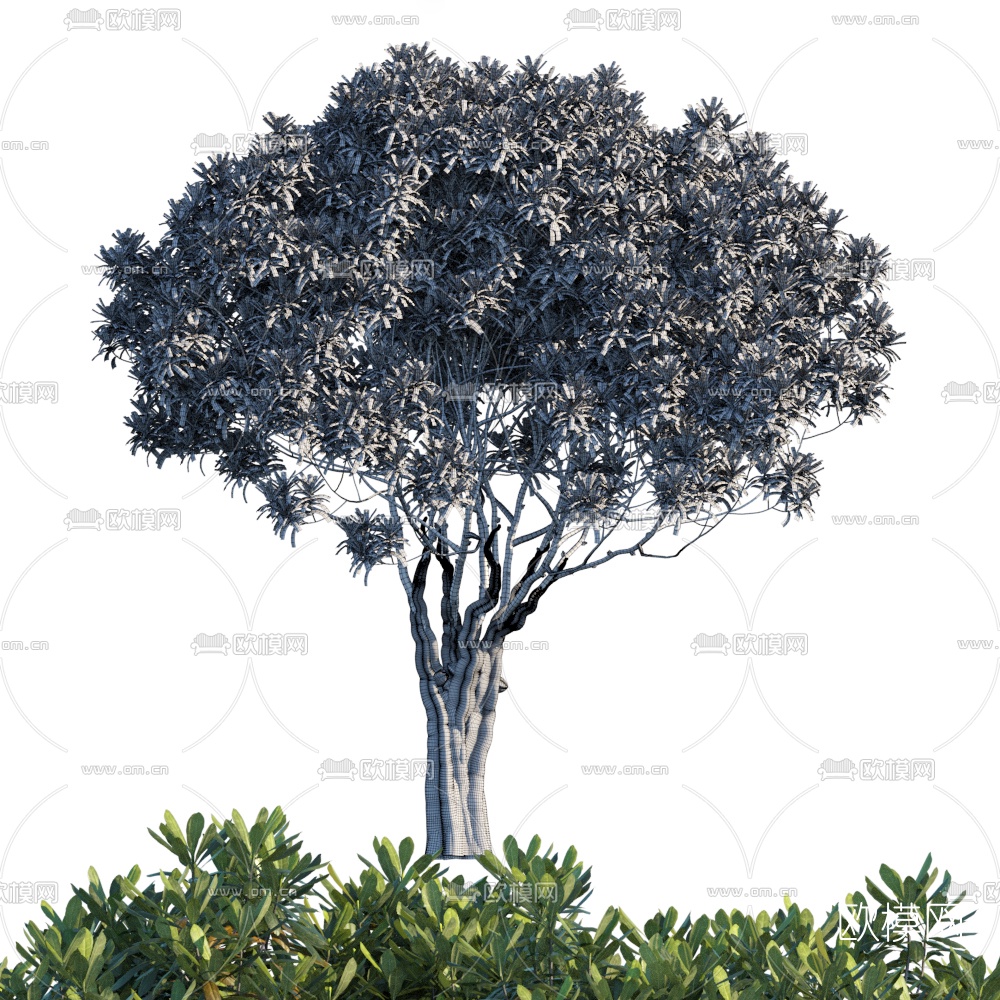 现代景观树3d模型下载（渲染图2）