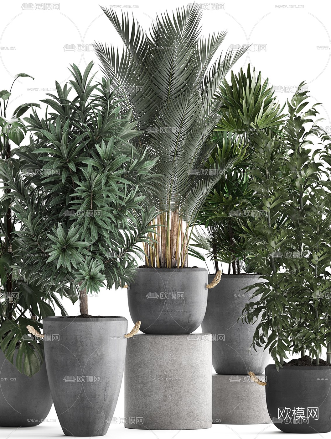 现代室内盆栽植物3d模型