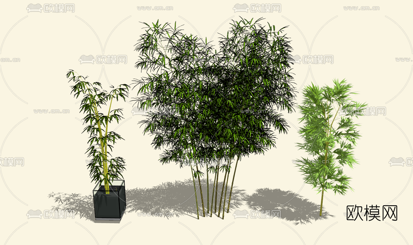 现代竹子竹林su模型下载（渲染图1）