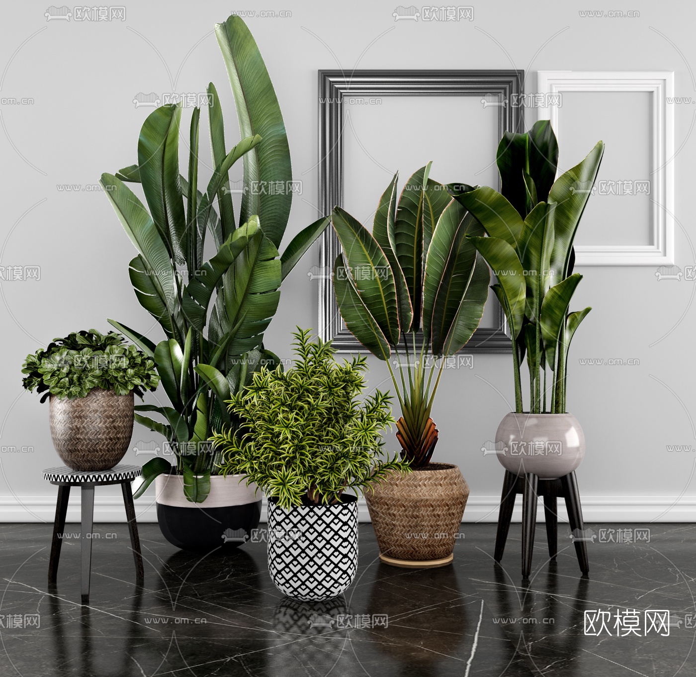 现代绿植盆栽3d模型