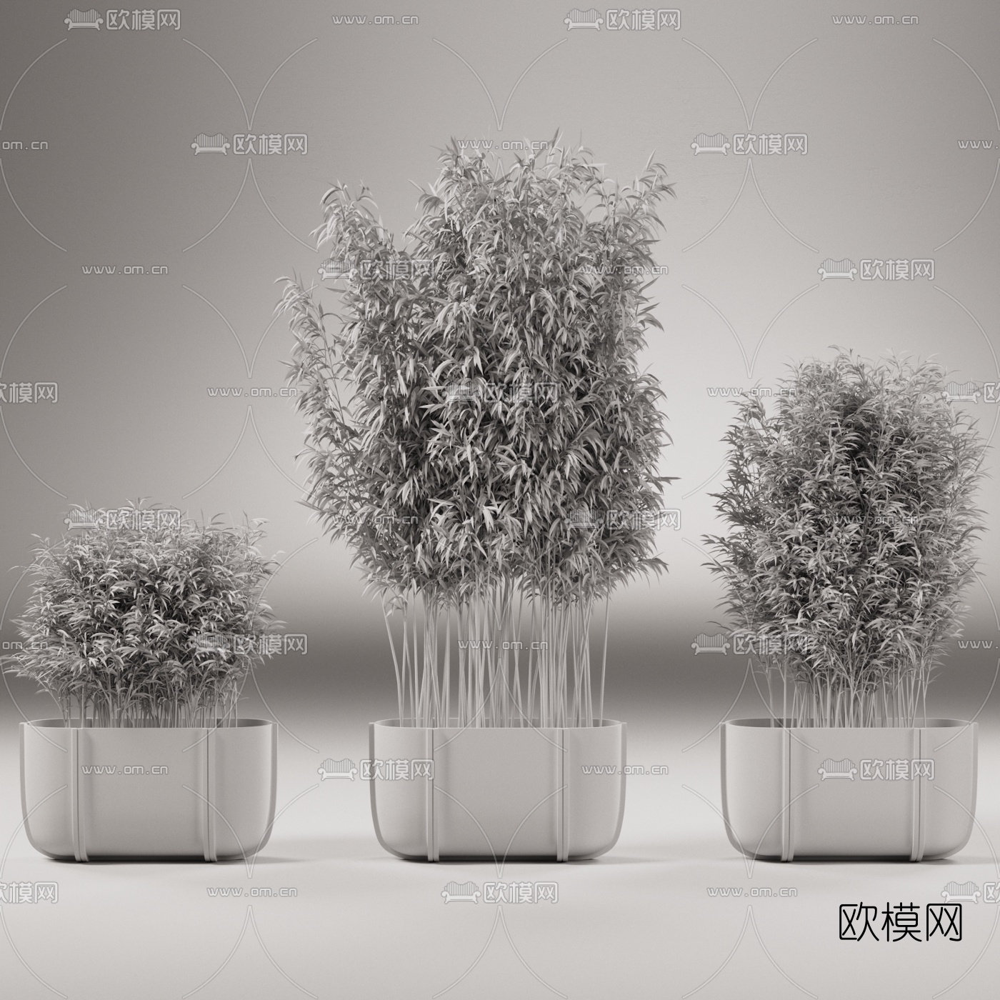 现代室外竹子盆栽组合3d模型