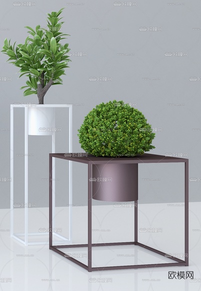 现代绿植盆栽3d模型下载(渲染图3)