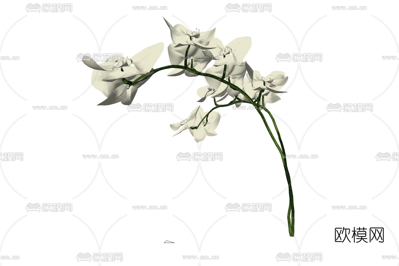 现代花卉免费su模型下载