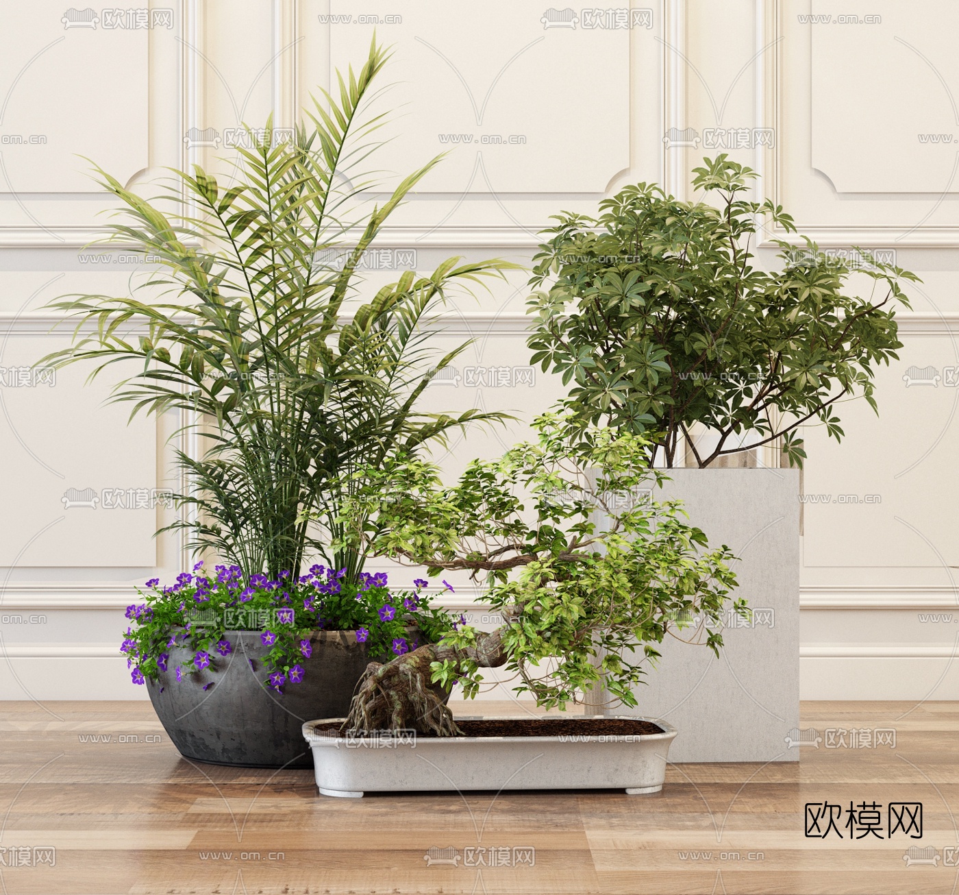 现代植物盆栽3d模型-免费3dmax模型库-欧模网