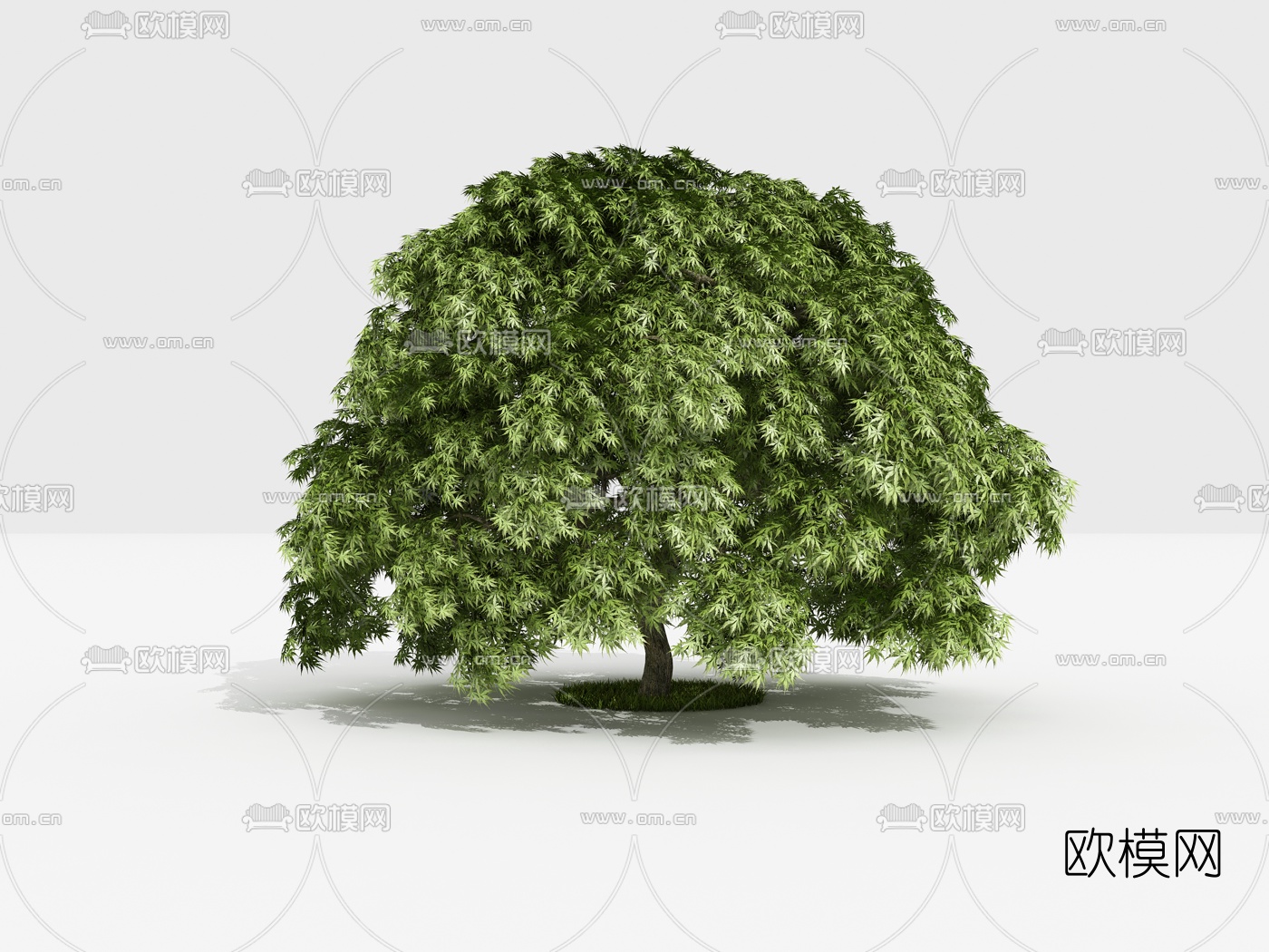 现代景观树3d模型下载