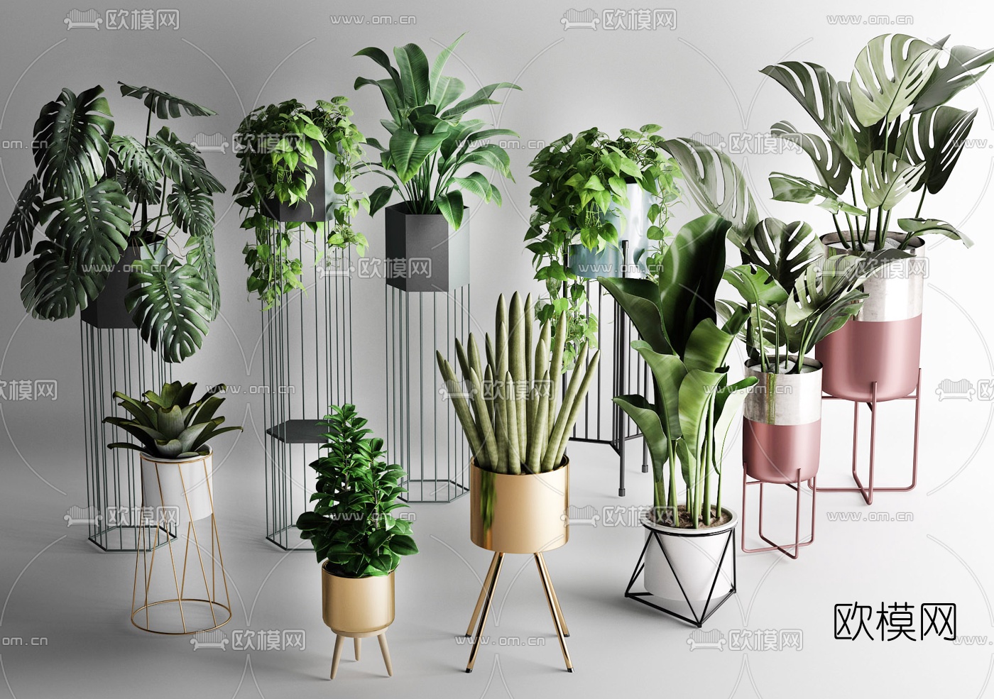 北欧绿植盆栽3d模型
