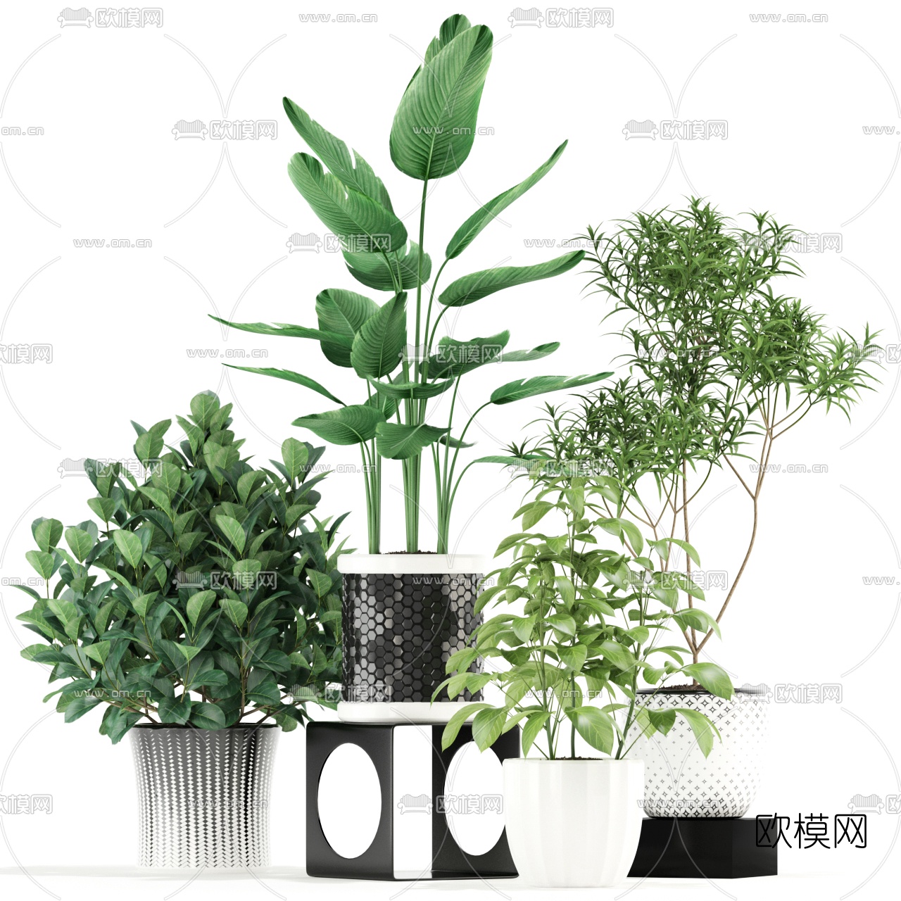 现代绿植盆栽3d模型-免费3dmax模型库-欧模网