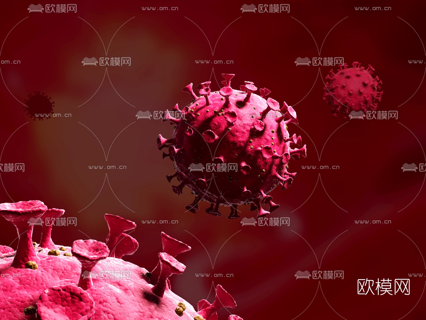 现代冠状病毒细胞3d模型下载