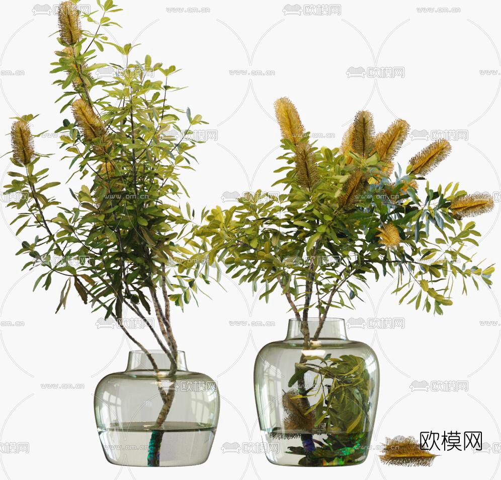 现代植物绿植花瓶3d模型下载（渲染图1）