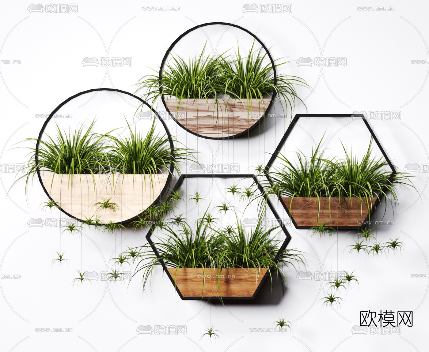 北欧盆栽墙面植物3d模型