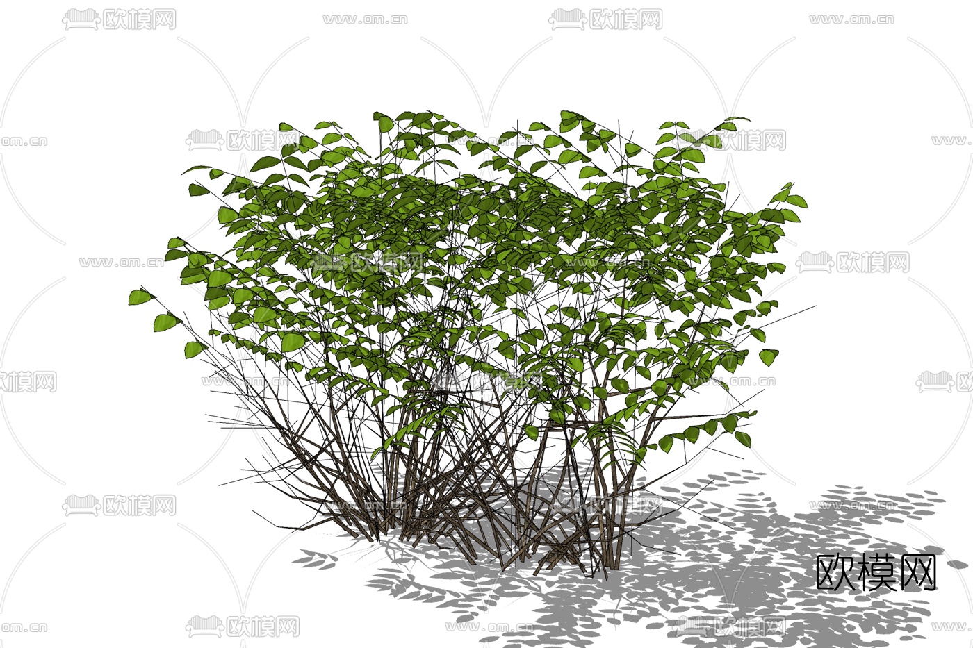现代灌木植物免费su模型下载