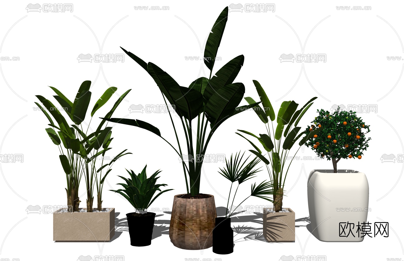 现代绿植盆栽su模型