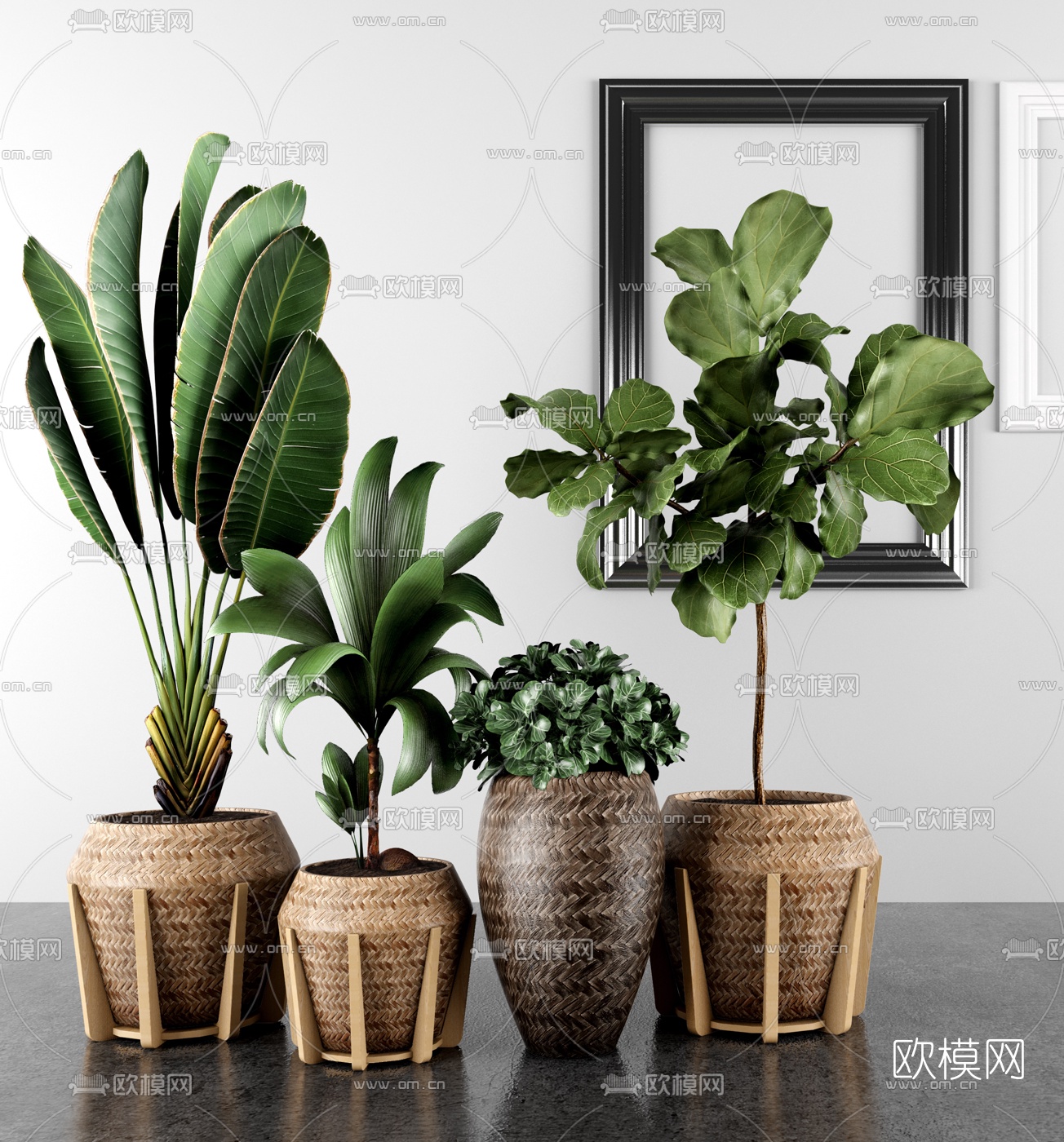现代绿植盆栽3d模型