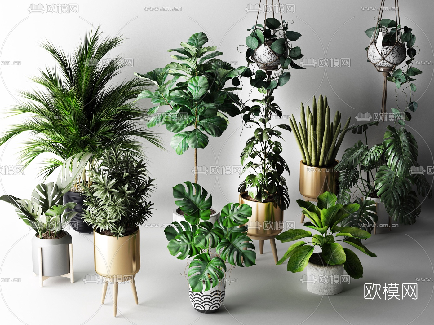 北欧吊兰绿植盆栽3d模型