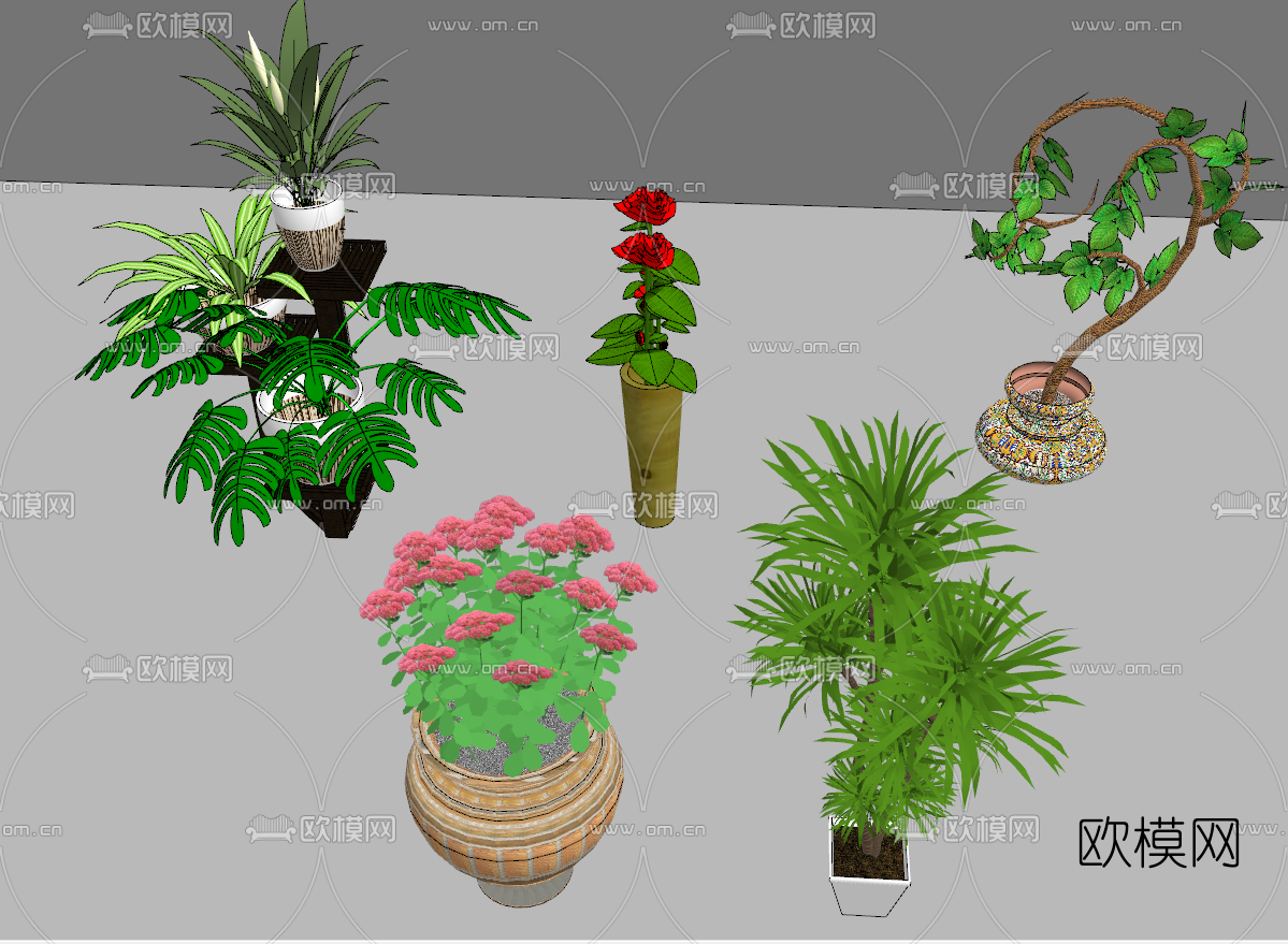现代盆栽植物su模型下载（渲染图2）