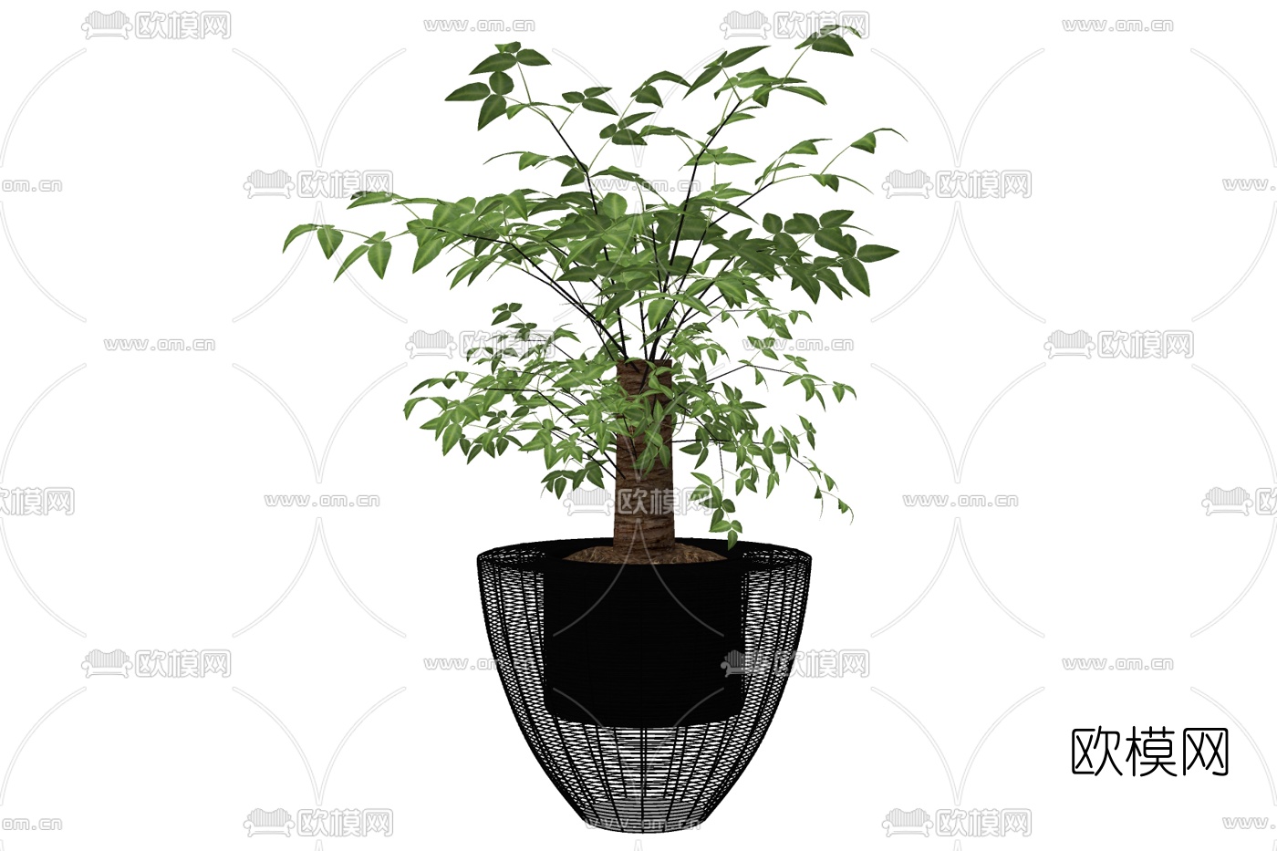 现代绿植盆栽免费su模型