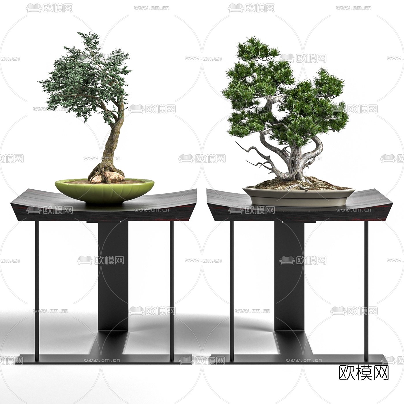 新中式迎客松盆景3d模型下载