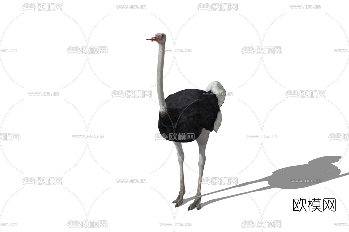 现代鸵鸟免费su模型下载