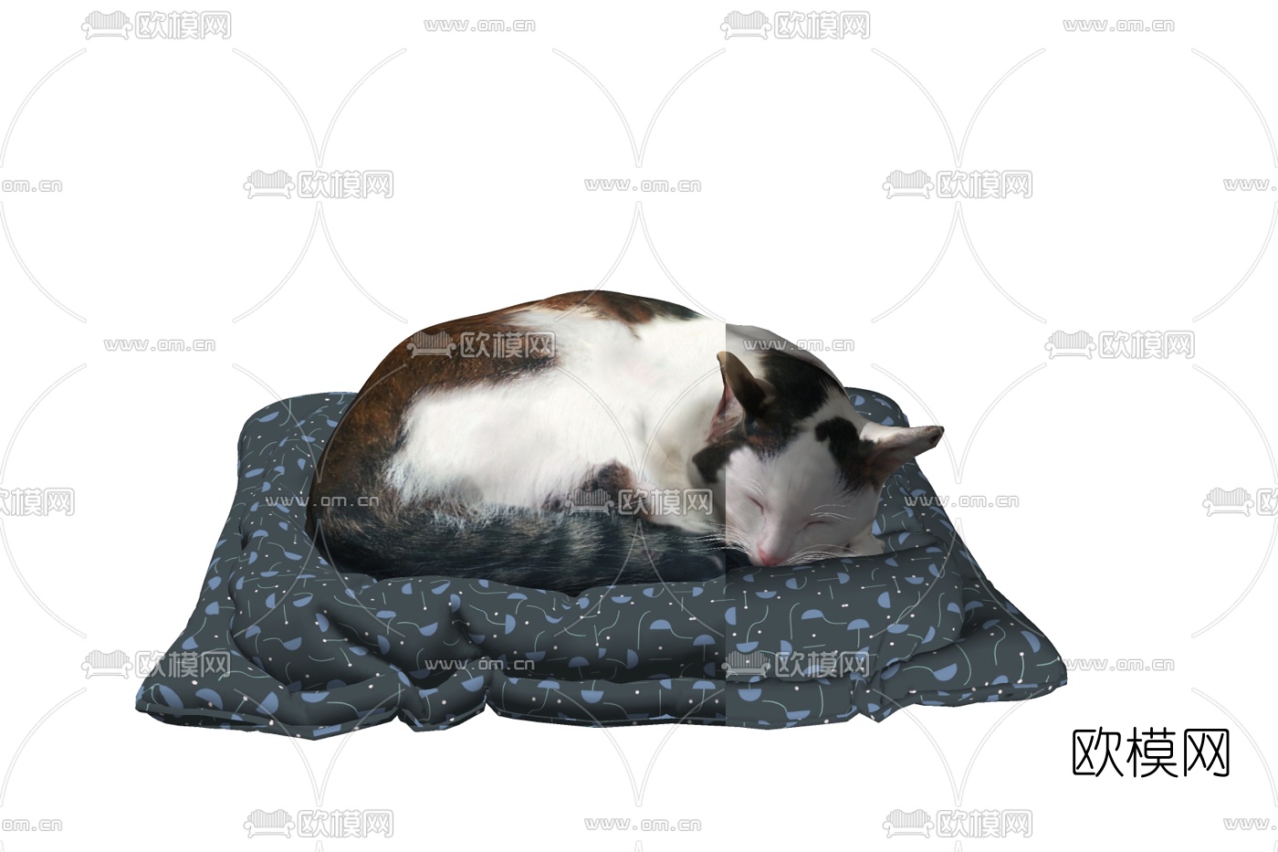 现代猫咪免费su模型下载