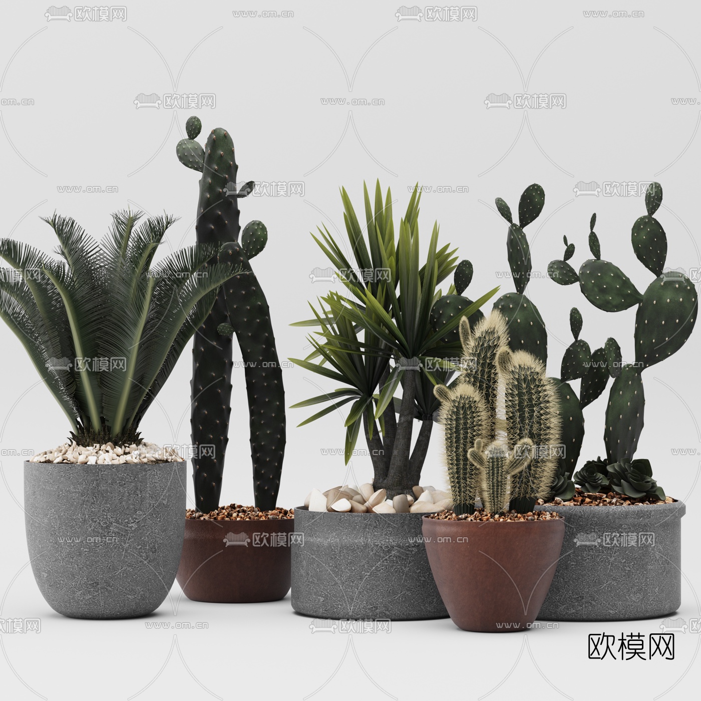 现代植物仙人掌3d模型下载