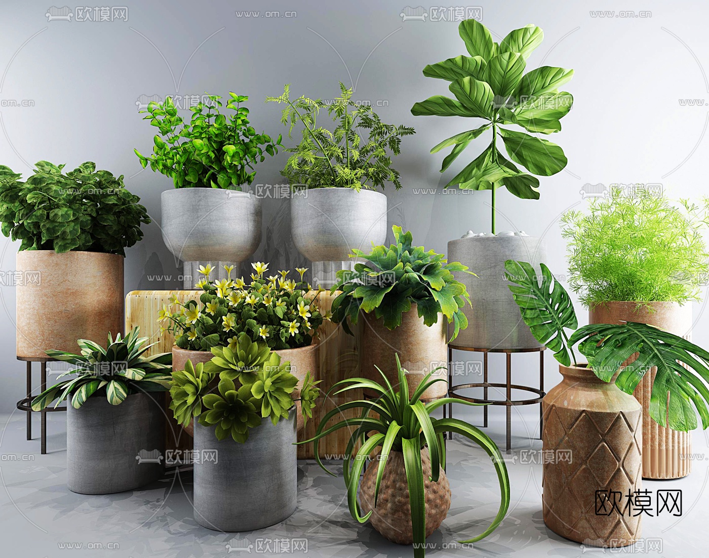 现代植物盆栽组合3d模型