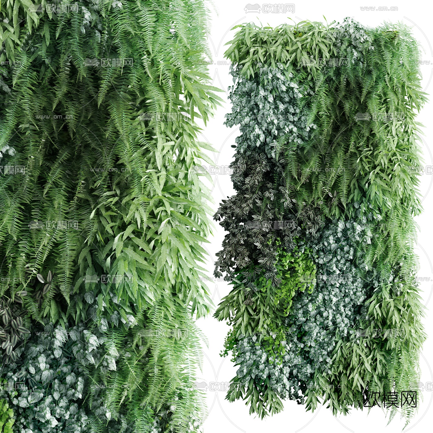 现代绿植植物墙3d模型