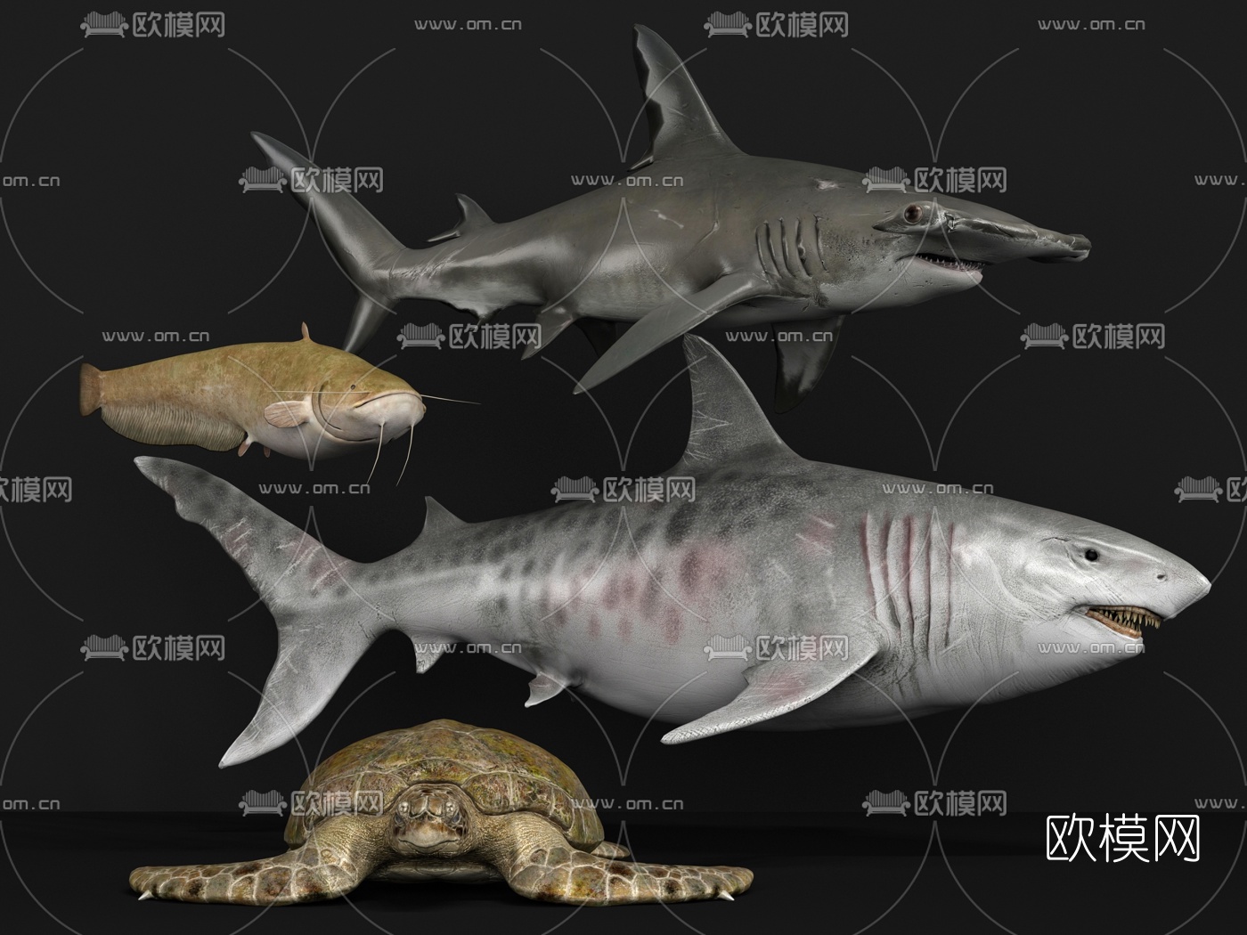 现代海洋动物鲨鱼3d模型下载