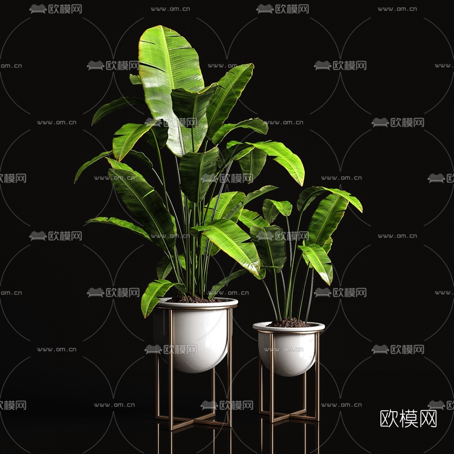 现代绿植盆栽3d模型