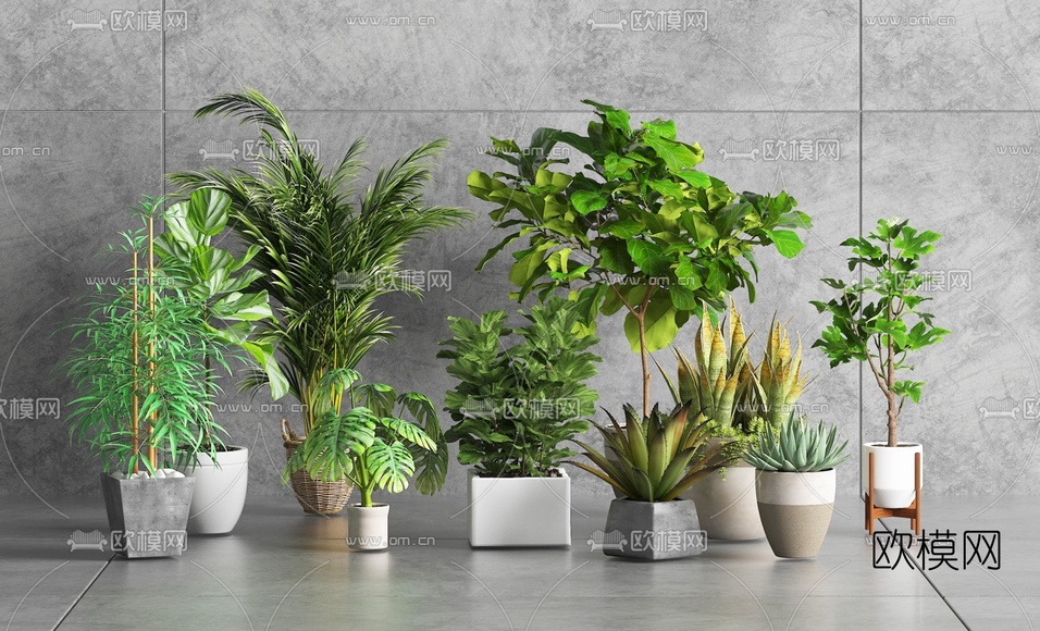 现代绿植盆栽组合3d模型下载