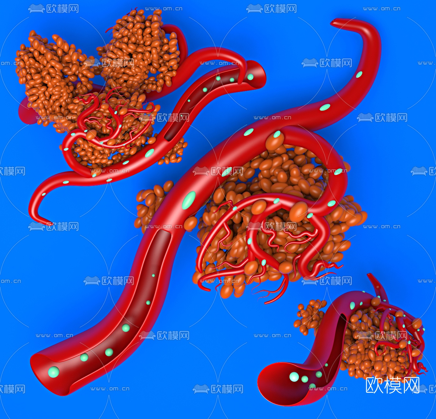 现代血管相连细胞3d模型下载