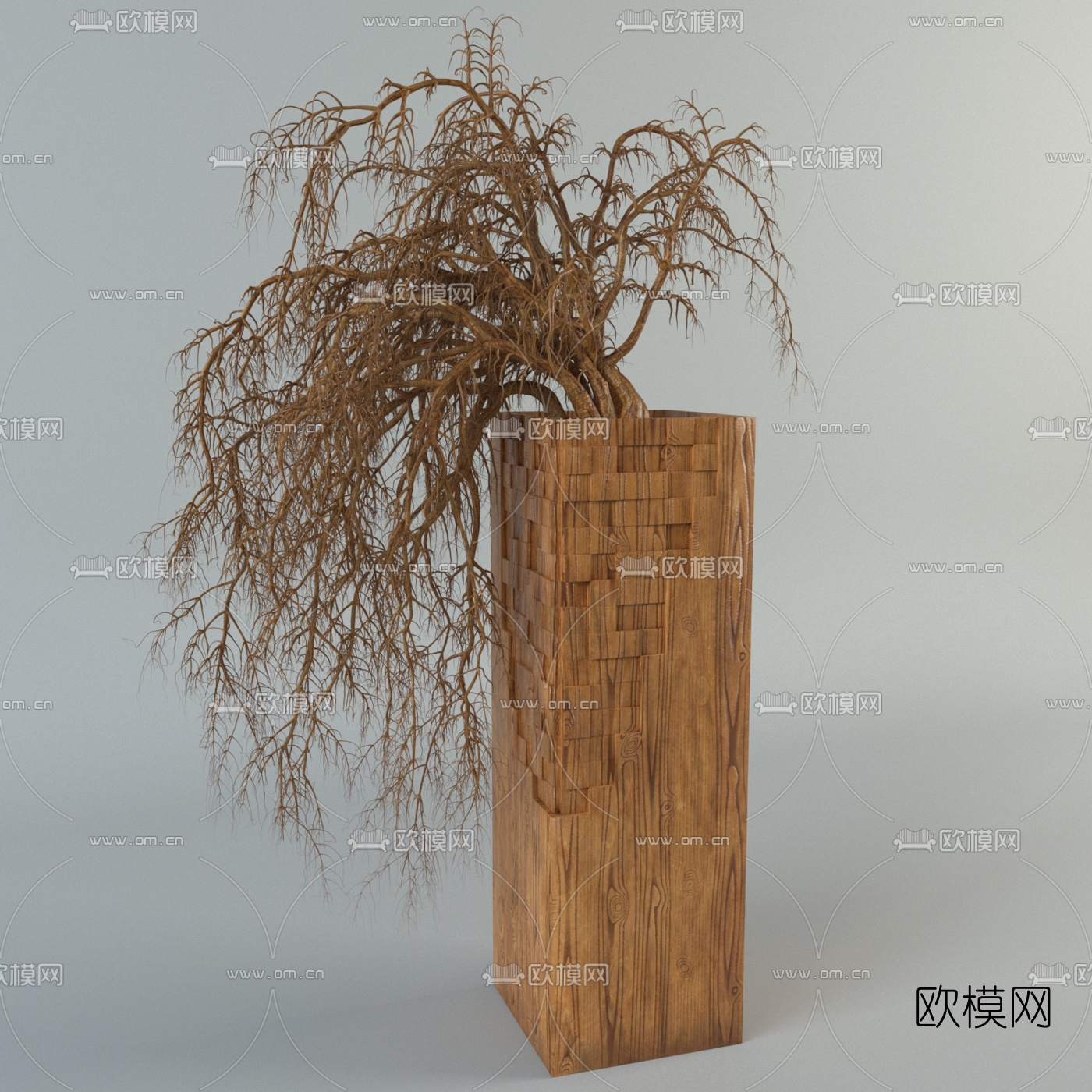 自然风干支盆栽免费3d模型下载（渲染图1）