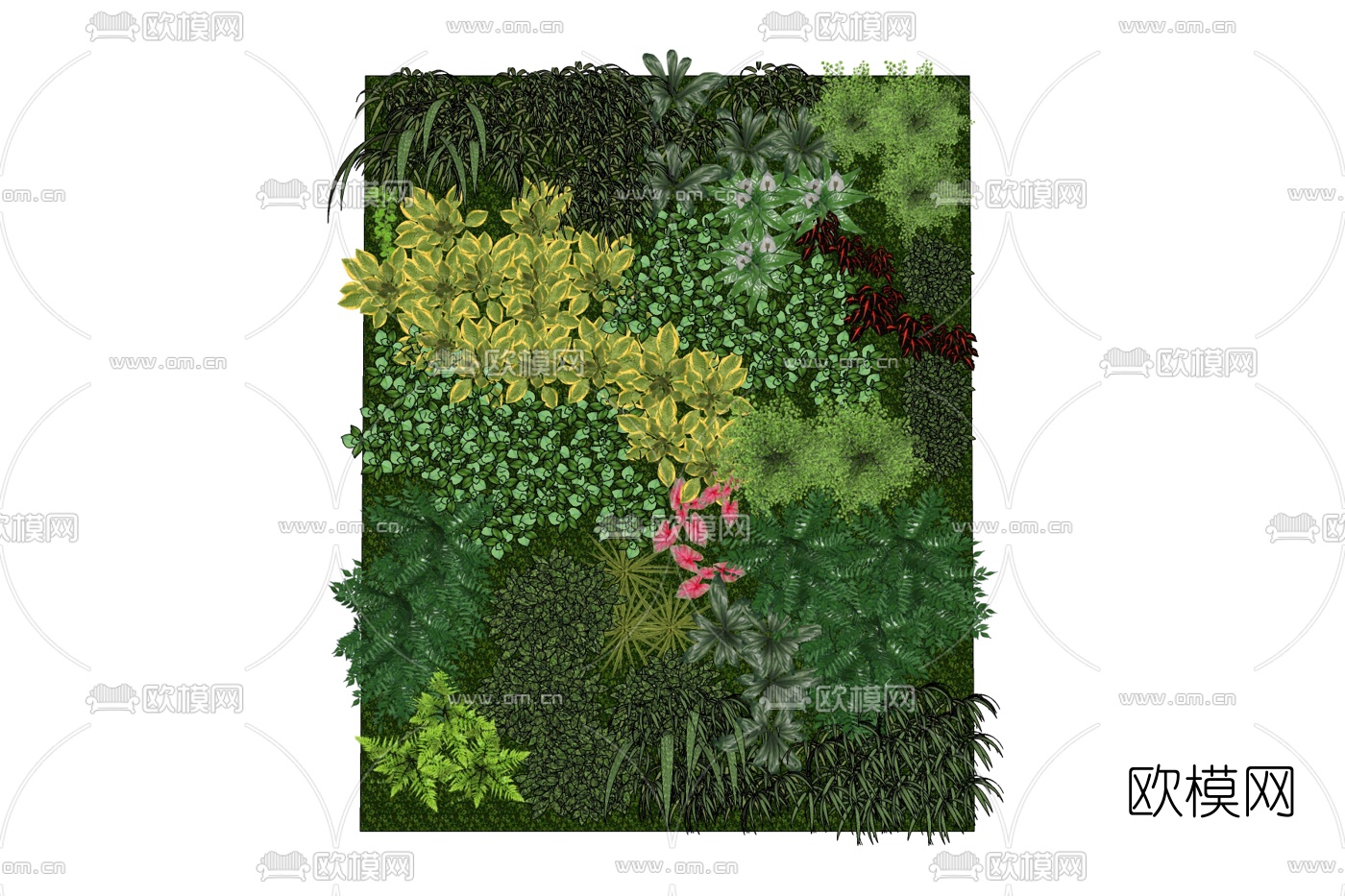 现代绿植墙饰免费su模型下载