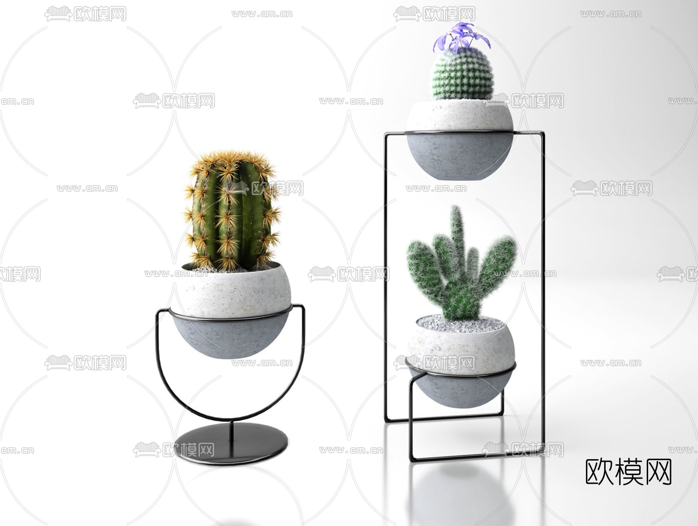 北欧仙人掌盆栽3d模型