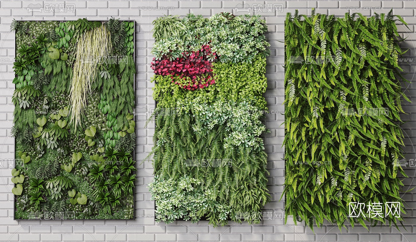 现代植物墙组合3d模型下载