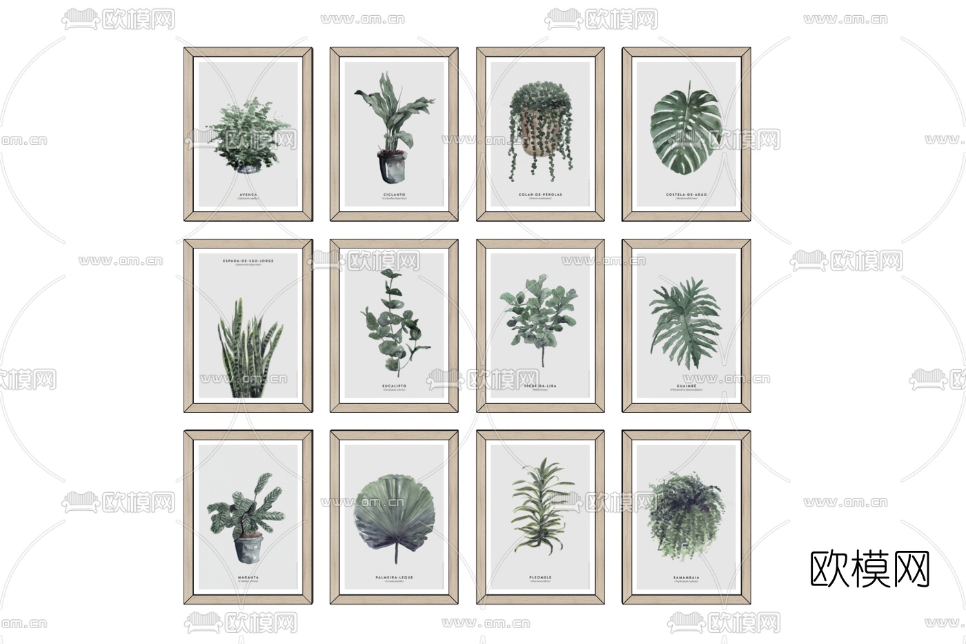 北欧植物装饰画免费su模型