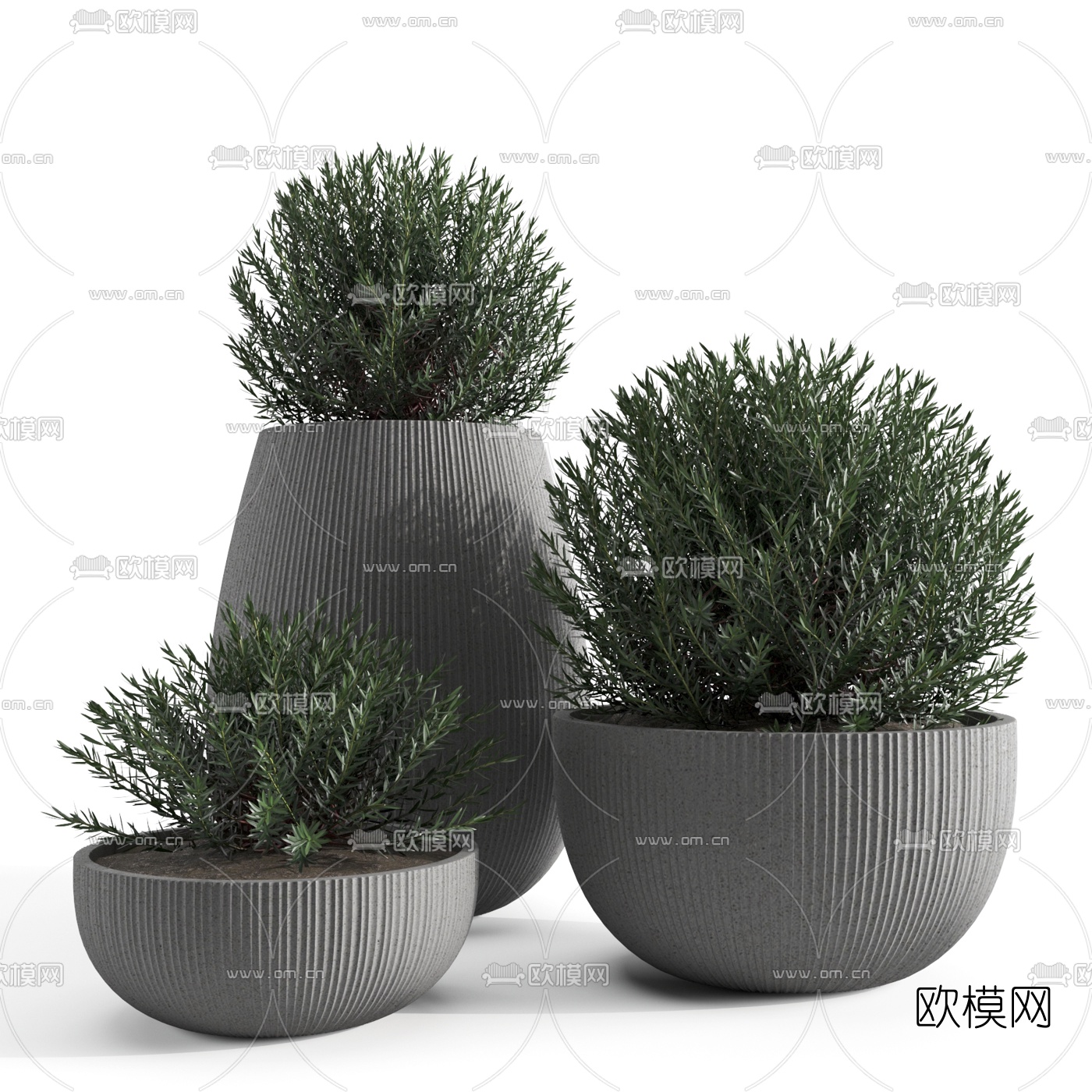 现代室外盆栽植物组合3d模型-免费3dmax模型库-欧模网