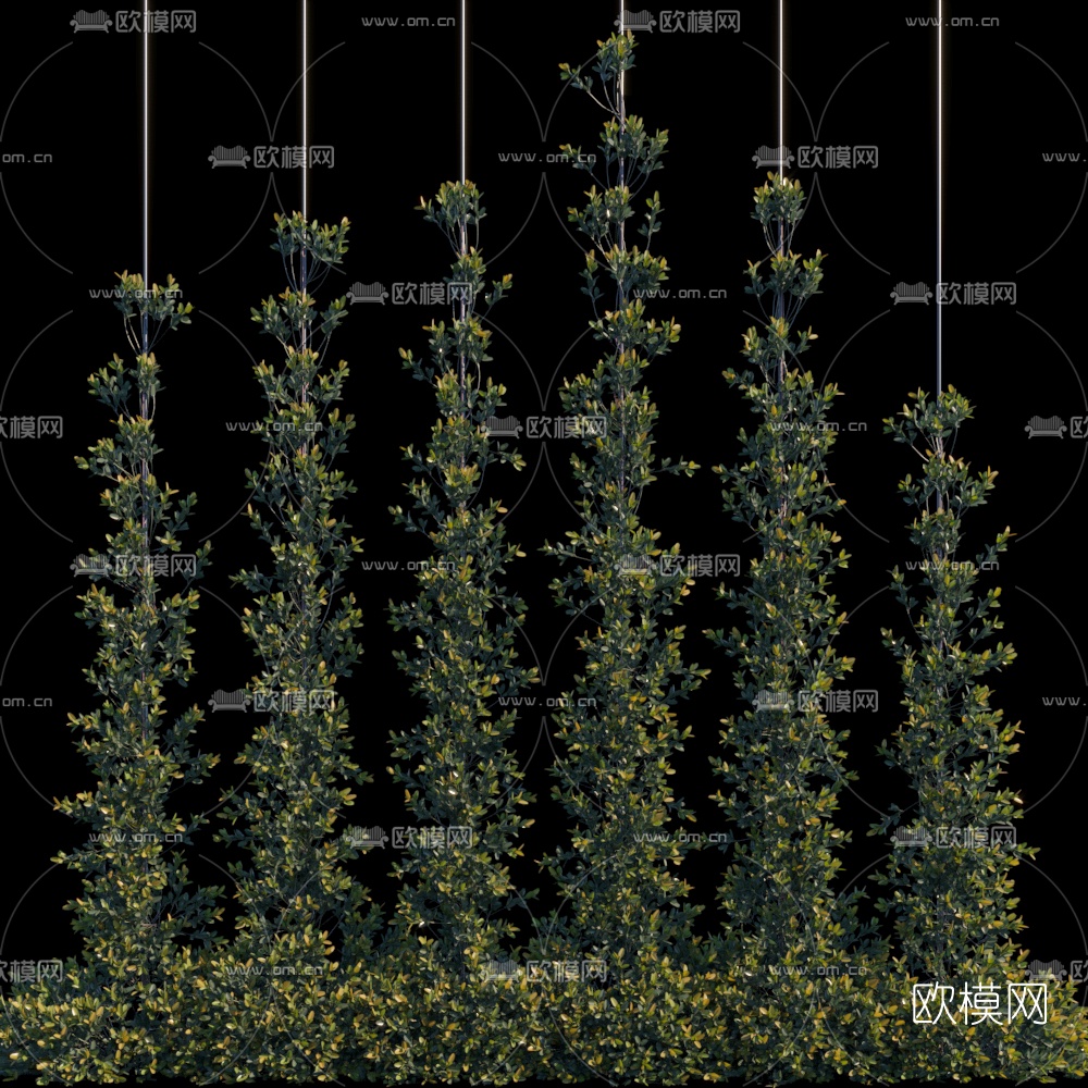现代绿植藤蔓3d模型下载（渲染图1）