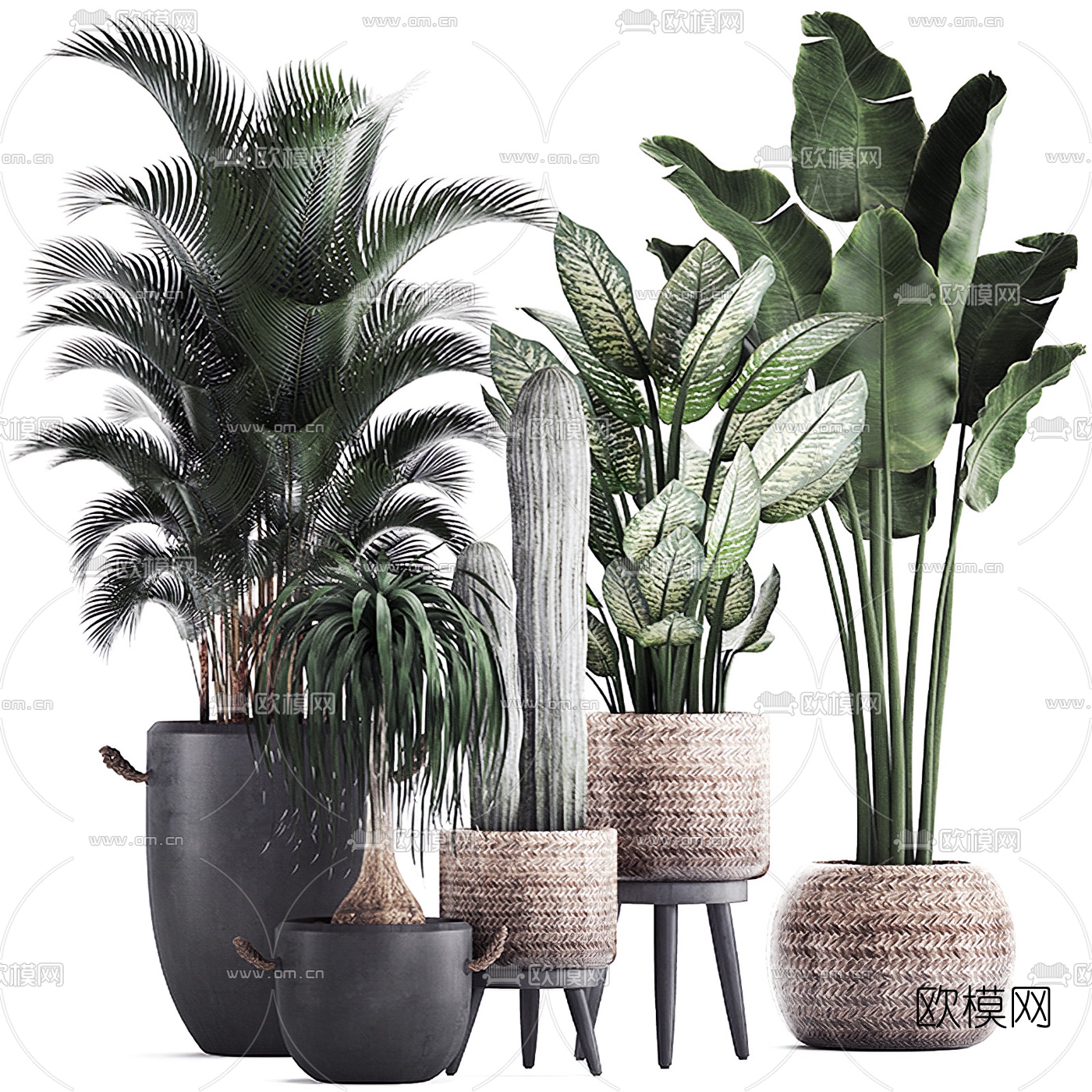 现代绿植盆栽3d模型