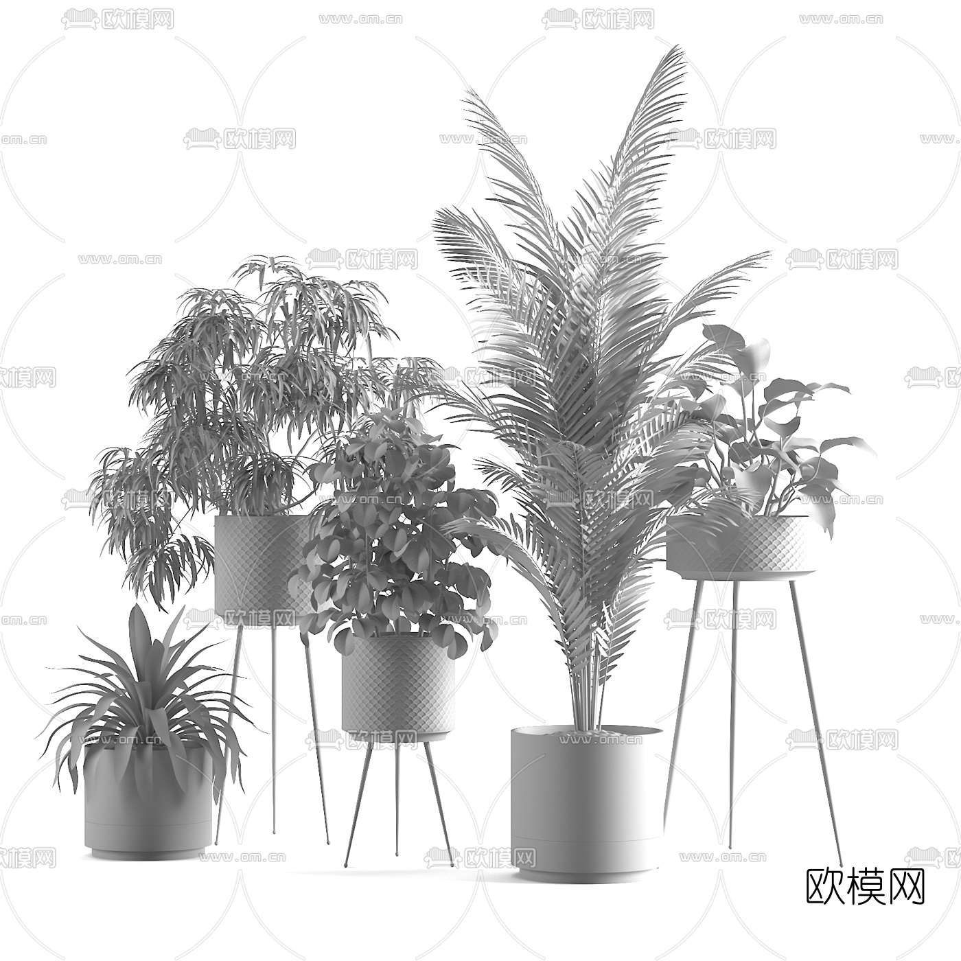 现代绿植盆栽3d模型下载（渲染图2）