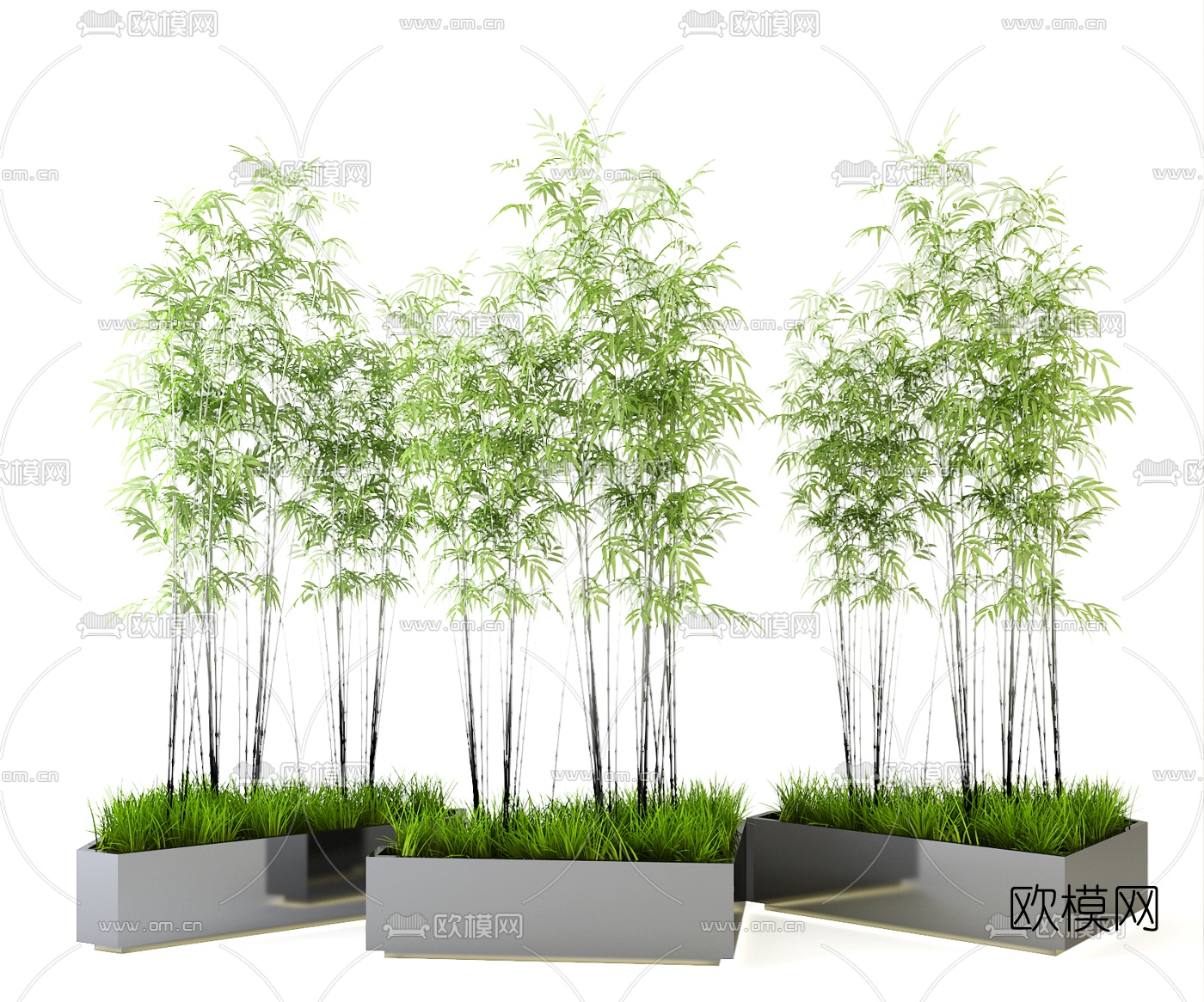 现代竹子盆栽3d模型下载