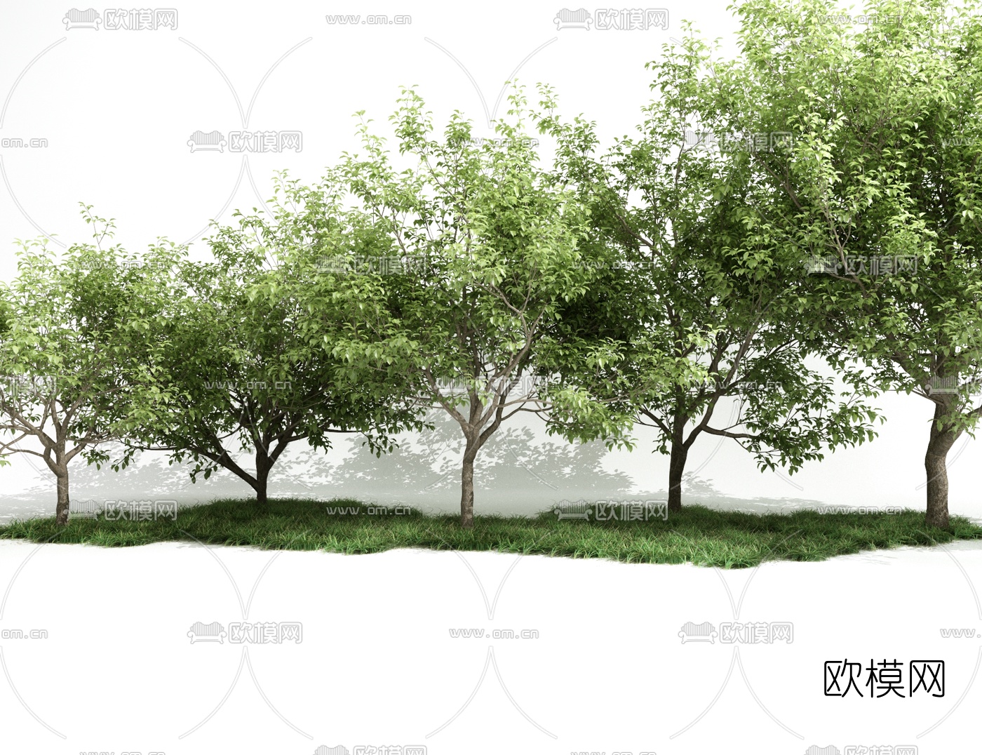 现代景观树木3d模型