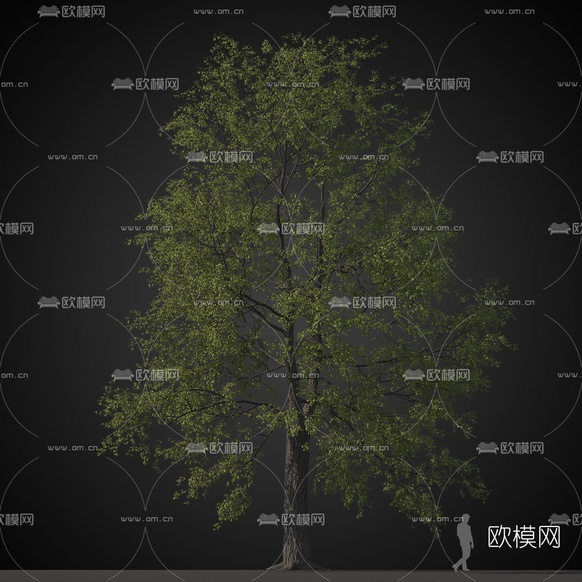 现代行道树景观树免费3d模型下载