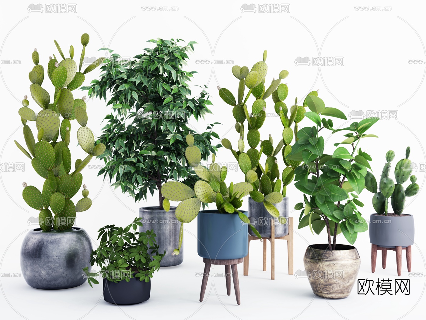 现代绿植盆栽3d模型-免费3dmax模型库-欧模网