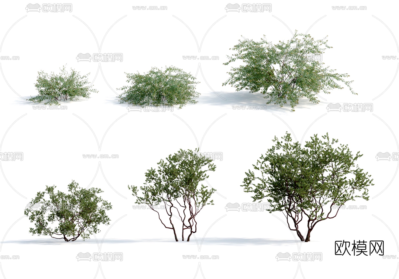 现代绿植灌木丛3d模型下载