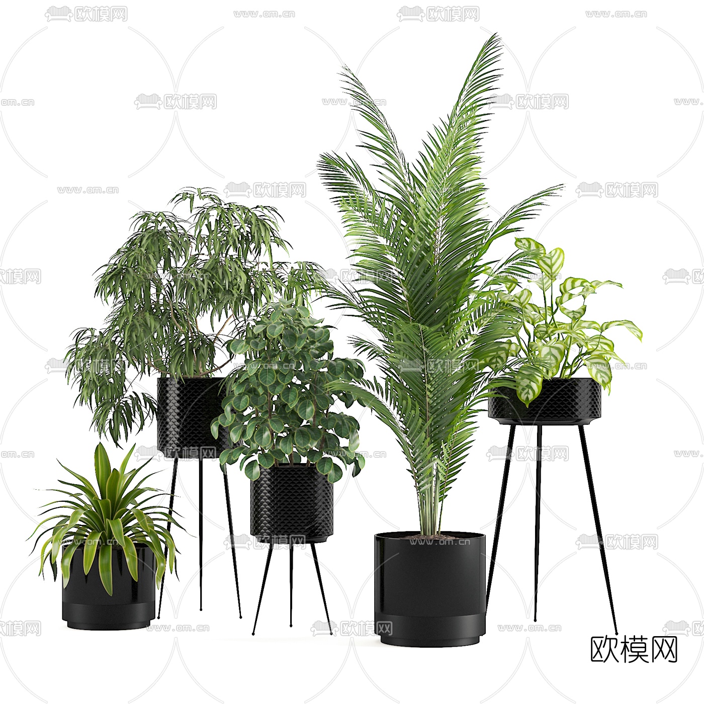 现代绿植盆栽3d模型下载（渲染图1）